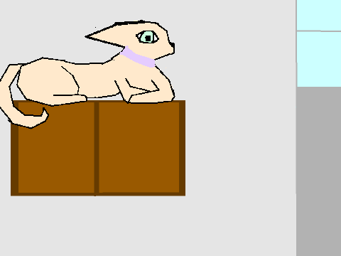  a kittypets dream