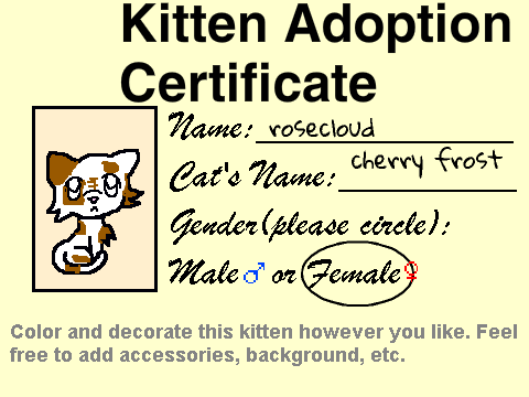 Kitten Adoption Center remix