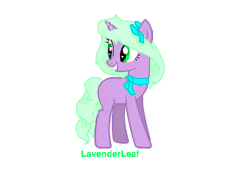 MLP cce
