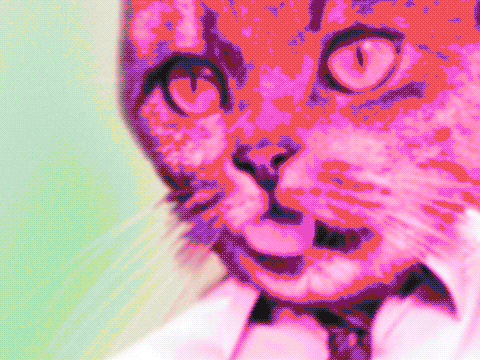 gif simulator 
