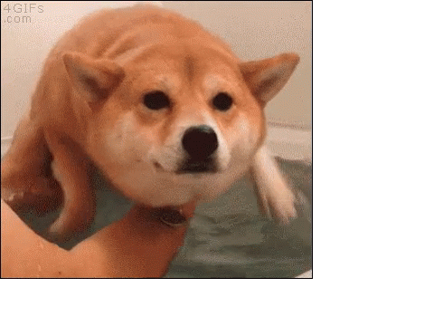 gif simulator 2