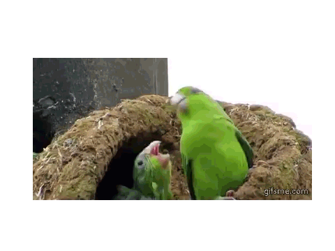 No Regrets