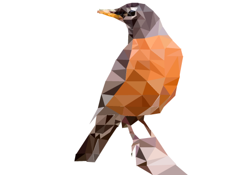 PolyArt Robin 