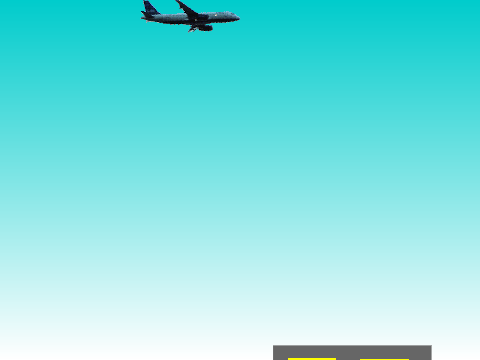 Airplane Pilot