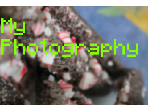 My Photography