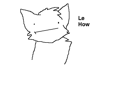 5O FOLLOWERS WHaT???