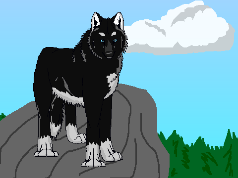 Wolf coloring contest!!!-- MAH ENTRY!! remix