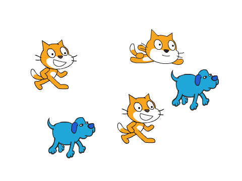 scratch team