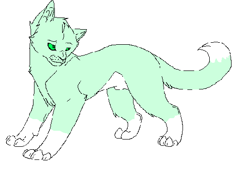 Cat adopt (DTA) only one :3