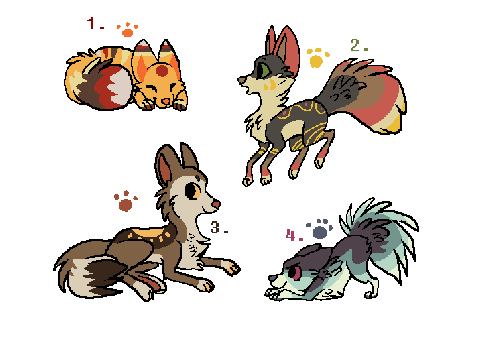 Wild dog adopts DTA DTA DTA!!!