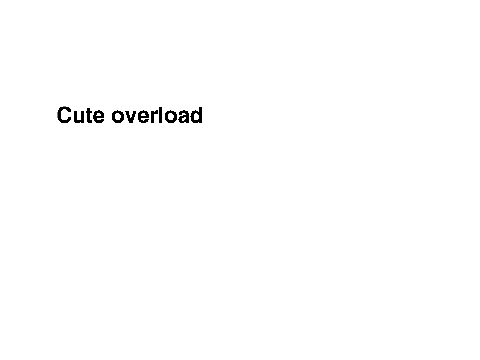 Cute Overload Lyrics :3