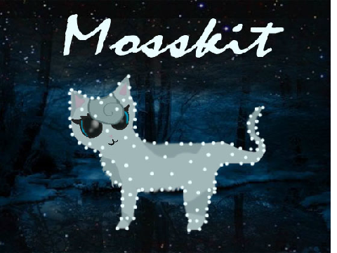 Warrior Cats Art - Mosskit