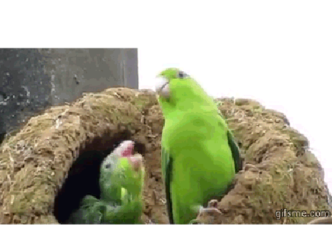 Remix and add music remix