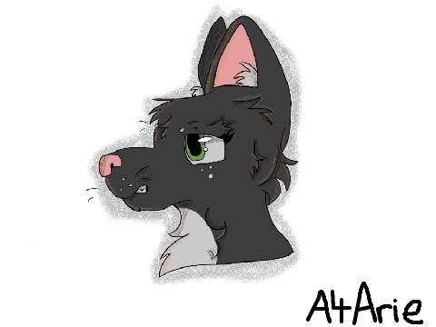 Hollyleaf Speedraw