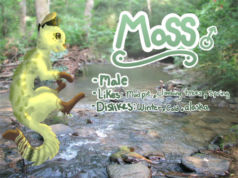 || Design Competition || Entry || DTAE ||