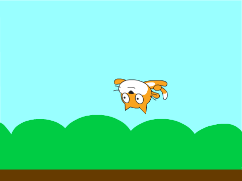 fly cat