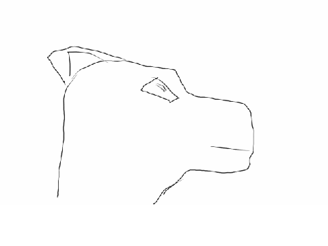 Art Dump