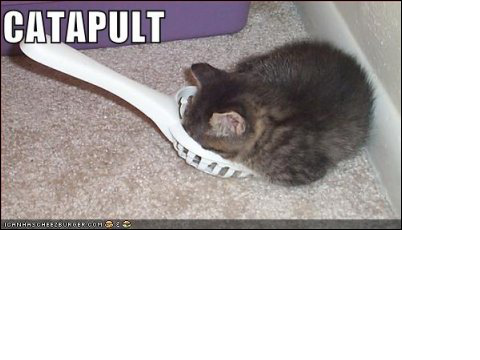 lolcats- the lol collection