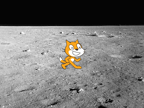 ねこがあるく!