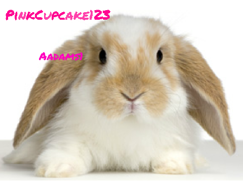 Sign here if you like animals! remix
