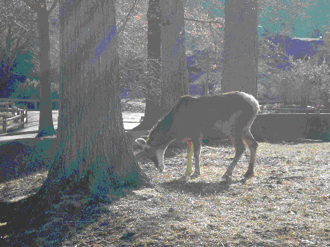 Art and Photo Updates