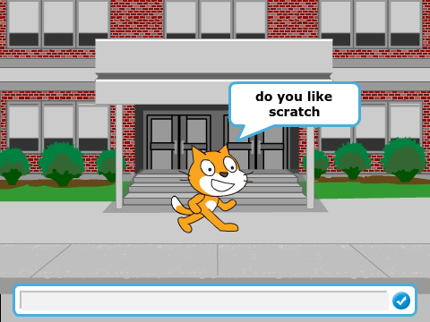 Cat Questions 