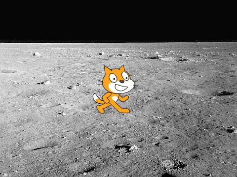 Cat Questions Part 2