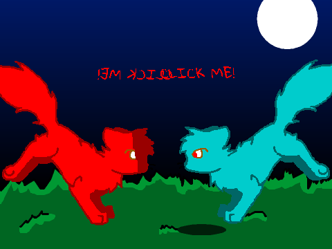 My CC Entry