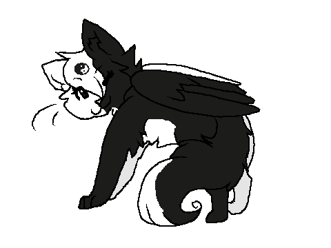 Ying Yang OC