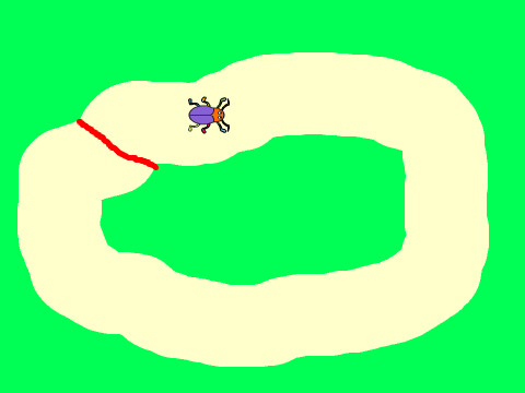 bug race 1