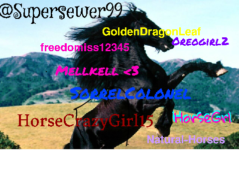 Sign your username if you love horses!   remix