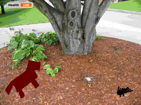 Dog chase
