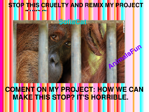 STOP cruelty to animals. REMIX if you are with me. remix remix