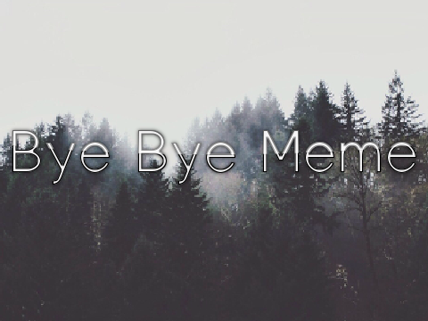 bye bye // meme remix