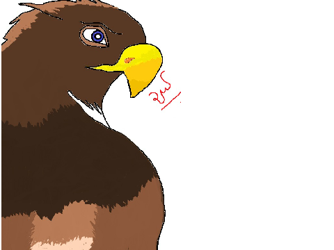 I drew a hawk :)