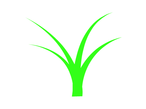  cGrass