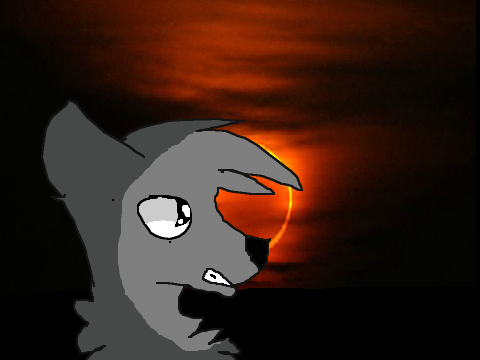 eclipse MAP(open) Part 1