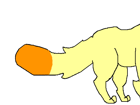 Random tail