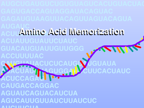 Amino Acid Memorization