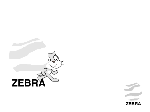 LSN's Zebra Sign On