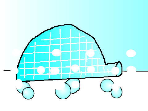 Puffle igloo home!
