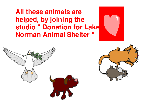 Help animals TODAY!!!!!!!!!!!!!!!!!!!!!!!!!