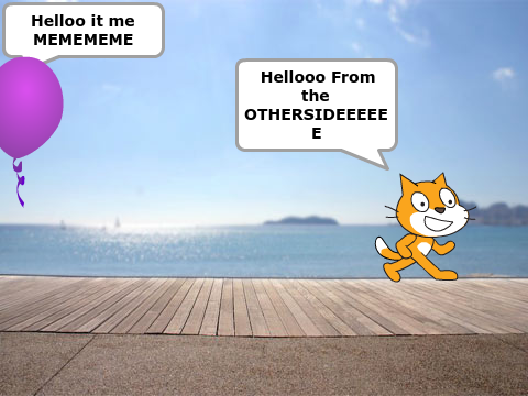 cat