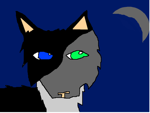 Midnight Wolf