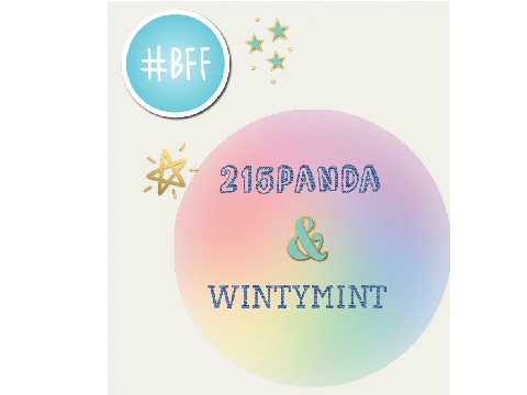Thank You WintyMint!