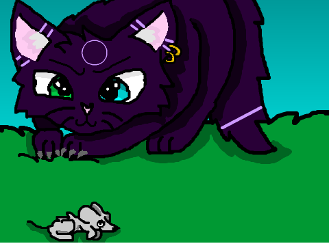 Cat Hunting CCE