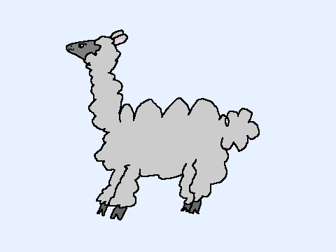 llama