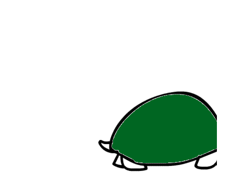 Turtle Life