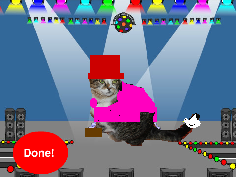 Dress the cat