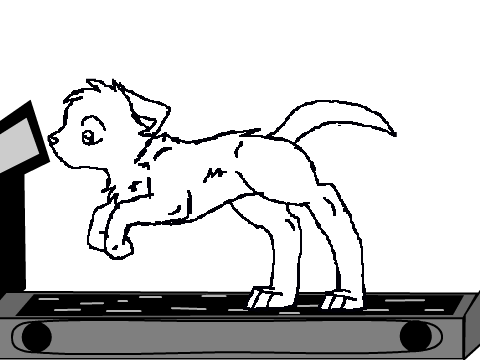 Running Cat Sprite remix